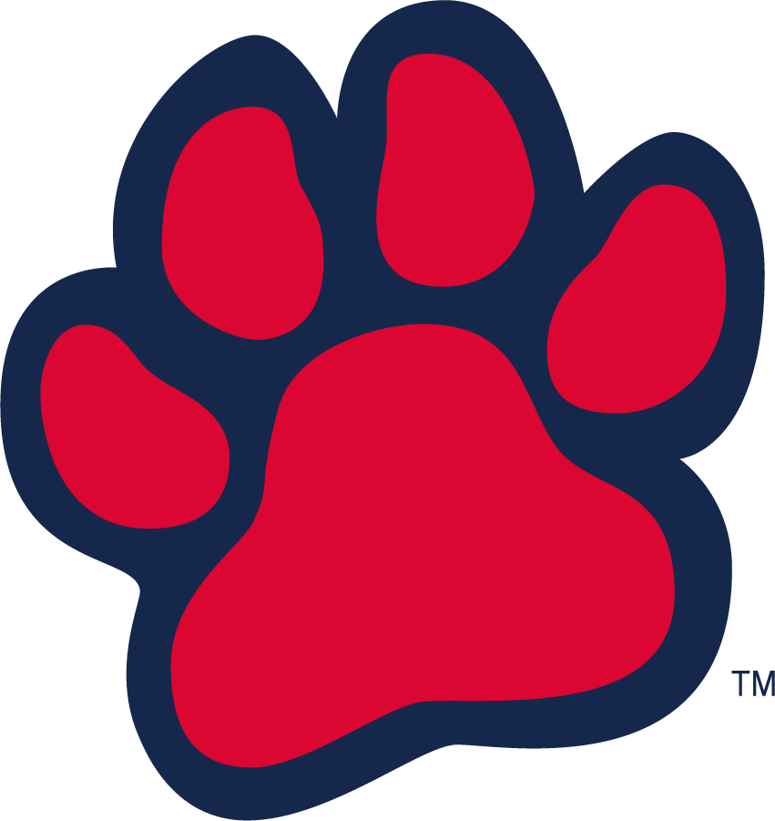 Fresno State Bulldogs 2016-2020 Alternate Logo DIY iron on transfer (heat transfer)